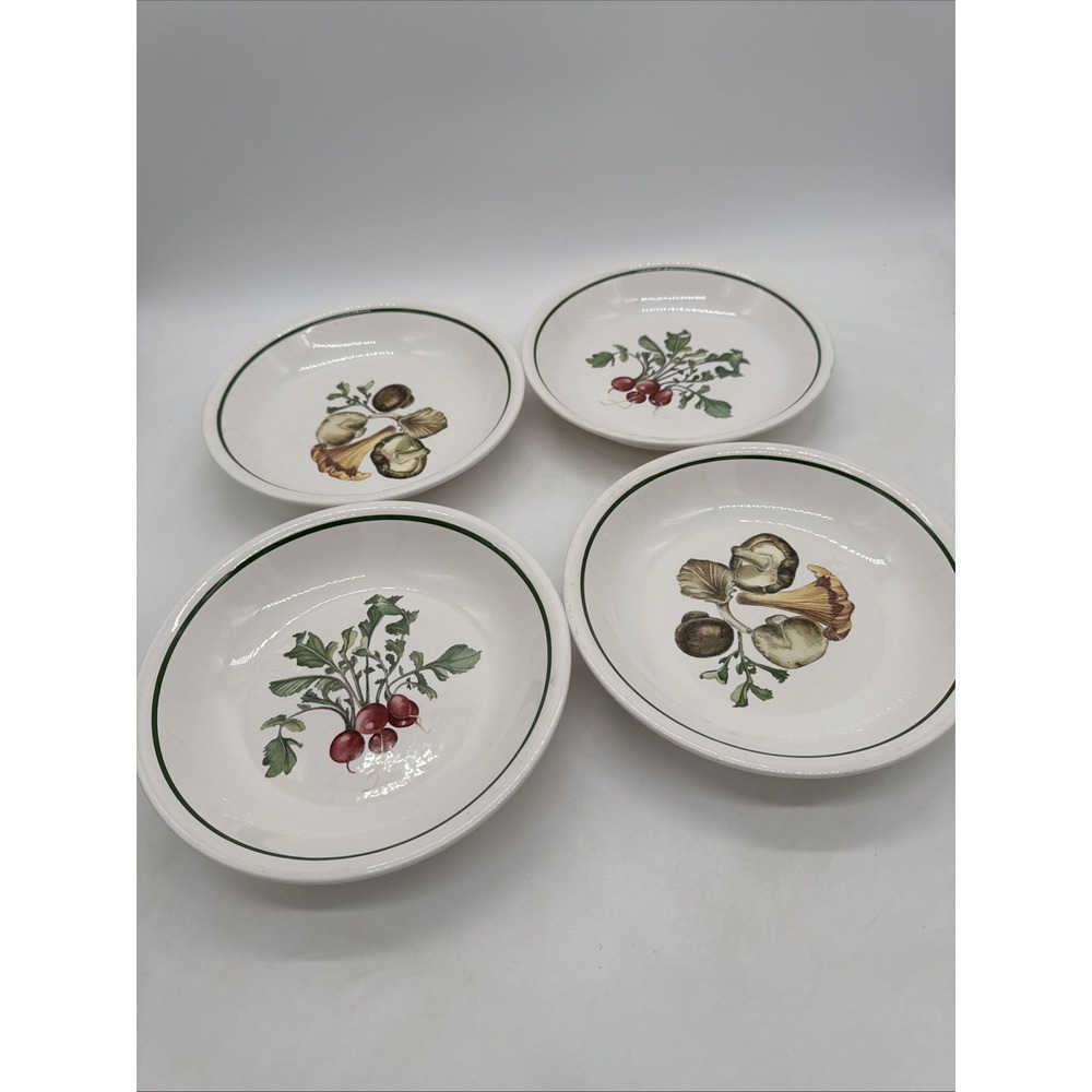 Williams Sonoma Pasta Salad Bowls Mushroom & Radish Set of 4Portugal 9.5"